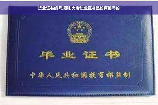 毕业证书编号规则,大专毕业证书是如何编号的