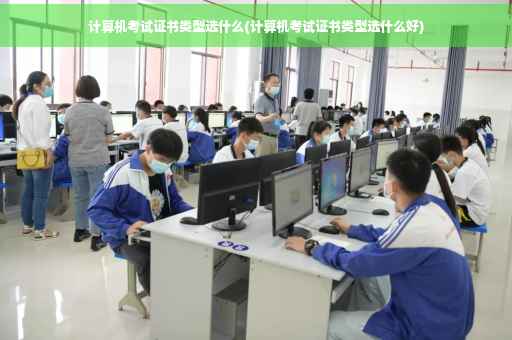 计算机考试证书类型选什么(计算机考试证书类型选什么好)