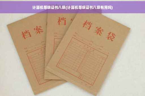 计算机等级证书八级(计算机等级证书八级有用吗)