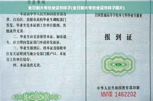 全日制大专毕业证书样子(全日制大专毕业证书样子图片)