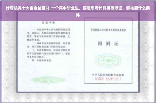 计算机类十大含金量证书,一个高中毕业生，要是想考计算机等级证，都需要什么条件
