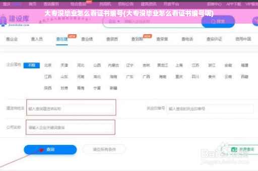 大专没毕业怎么看证书编号(大专没毕业怎么看证书编号呢)