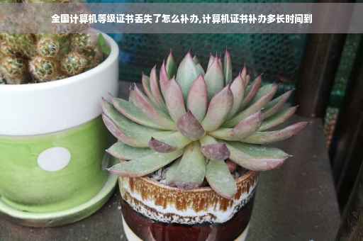 全国计算机等级证书丢失了怎么补办,计算机证书补办多长时间到