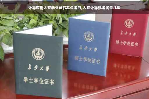 计算应用大专毕业证书怎么考的,大专计算机考试是几级