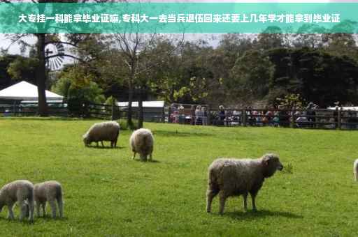 大专挂一科能拿毕业证嘛,专科大一去当兵退伍回来还要上几年学才能拿到毕业证 大专挂一科能拿毕业证嘛,专科大一去当兵退伍回来还要上几年学才能拿到毕业证