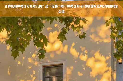 计算机等级考试分几级几类？是一定要一级一级考过吗-计算机等级证书分类别吗怎么填