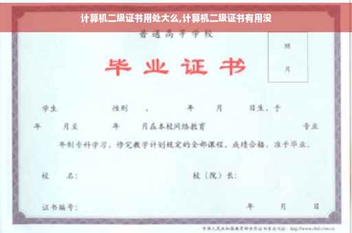 计算机二级证书用处大么,计算机二级证书有用没