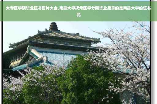 大专医学院毕业证书图片大全,南昌大学抚州医学分院毕业后拿的是南昌大学的证书吗