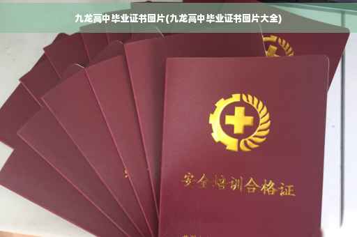 九龙高中毕业证书图片(九龙高中毕业证书图片大全)