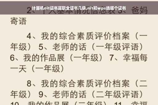 计算机nit证书算职业证书几级,nit和wps选哪个证书