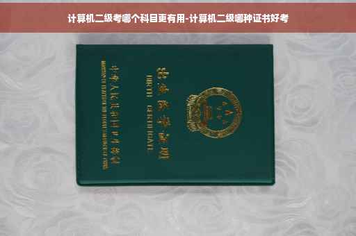 计算机二级考哪个科目更有用-计算机二级哪种证书好考