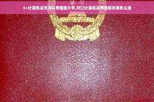 3+计算机证书可以考哪些大学,对口计算机高考填报志愿怎么选