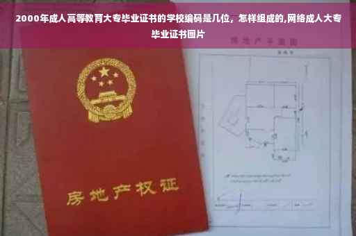2000年成人高等教育大专毕业证书的学校编码是几位，怎样组成的,网络成人大专毕业证书图片