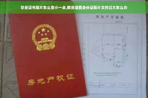 毕业证书图片怎么变小一点,教资退费身份证照片文件过大怎么办