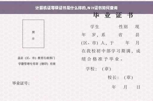 计算机证等级证书是什么样的,N it证书如何查询