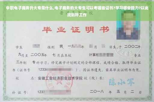 中职电子商务升大专是什么,电子商务的大专生可以考哪些证书?学习哪些能力?以此找到好工作