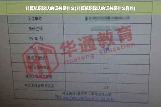 计算机职称认的证书是什么(计算机职称认的证书是什么样的)