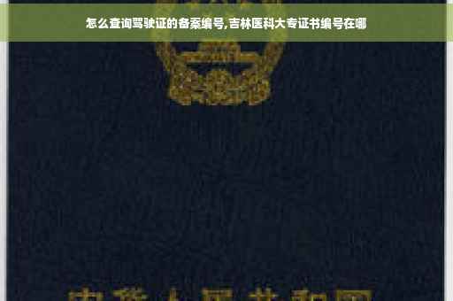 怎么查询驾驶证的备案编号,吉林医科大专证书编号在哪