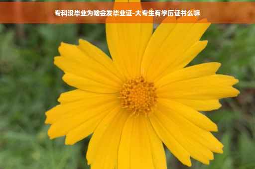 专科没毕业为啥会发毕业证-大专生有学历证书么嘛