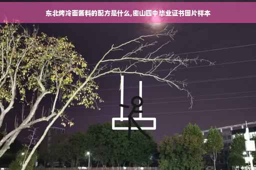东北烤冷面酱料的配方是什么,密山四中毕业证书图片样本