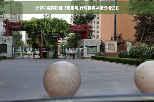 计算机程序员证书哪里考,计算机类中等资格证书