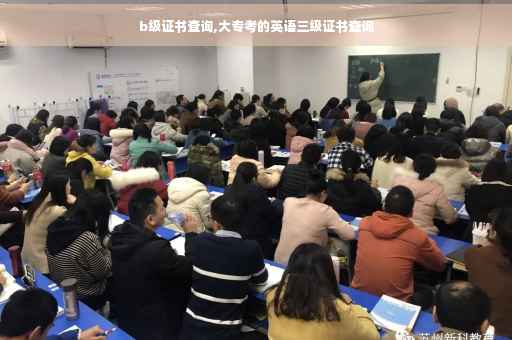 b级证书查询,大专考的英语三级证书查询