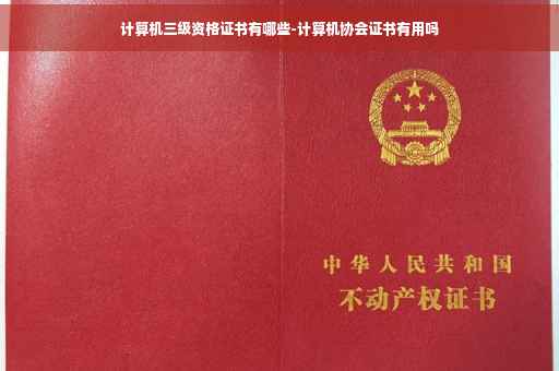 计算机三级资格证书有哪些-计算机协会证书有用吗