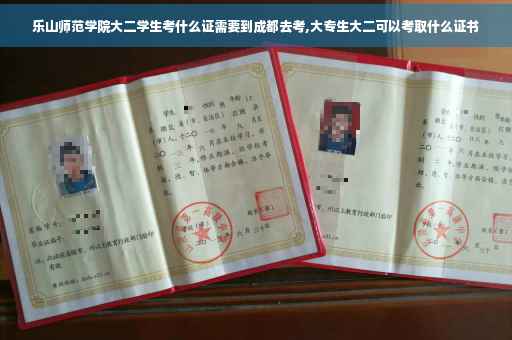 乐山师范学院大二学生考什么证需要到成都去考,大专生大二可以考取什么证书