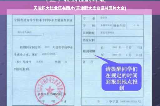 天津职大毕业证书图片(天津职大毕业证书图片大全)