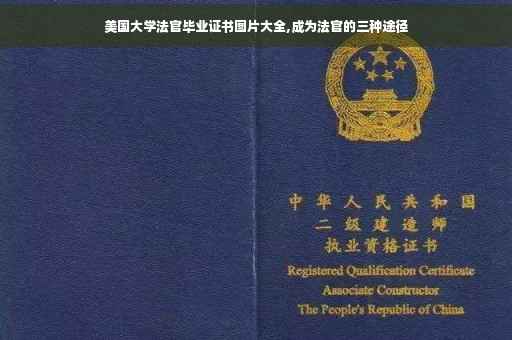美国大学法官毕业证书图片大全,成为法官的三种途径