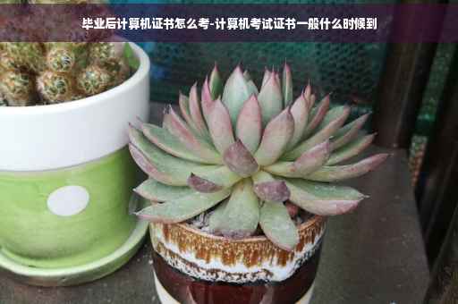 毕业后计算机证书怎么考-计算机考试证书一般什么时候到