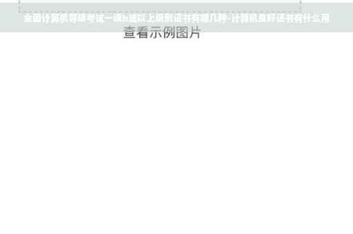 全国计算机等级考试一级b或以上级别证书有哪几种-计算机良好证书有什么用