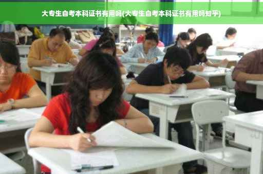 大专生自考本科证书有用吗(大专生自考本科证书有用吗知乎)