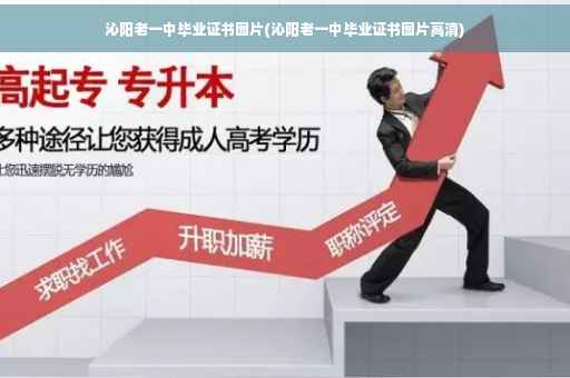 沁阳老一中毕业证书图片(沁阳老一中毕业证书图片高清)