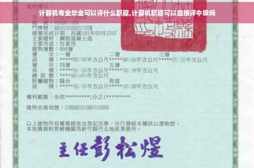 计算机专业毕业可以评什么职称,计算机职称可以直接评中级吗