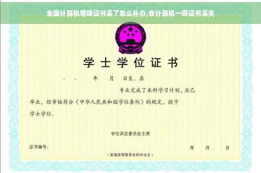 全国计算机等级证书丢了怎么补办,省计算机一级证书丢失