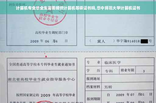 计算机专业毕业生需要提供计算机等级证书吗,华中师范大学计算机证书