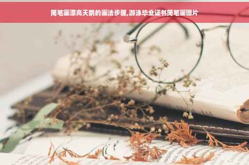 简笔画漂亮天鹅的画法步骤,游泳毕业证书简笔画图片