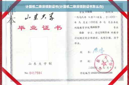 计算机二级没领到证书(计算机二级没领到证书怎么办)