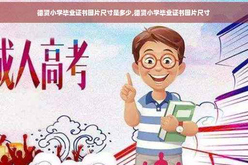 德贤小学毕业证书图片尺寸是多少,德贤小学毕业证书图片尺寸