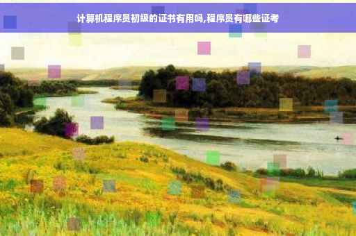 计算机程序员初级的证书有用吗,程序员有哪些证考