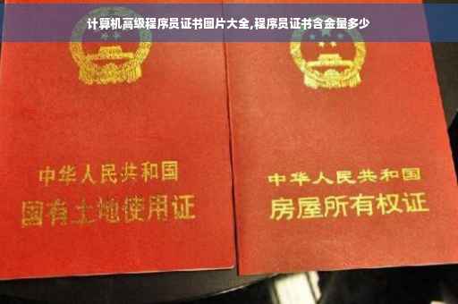 计算机高级程序员证书图片大全,程序员证书含金量多少