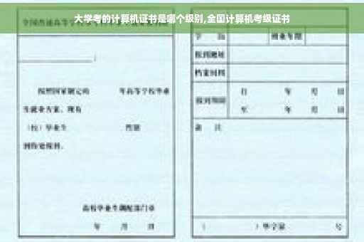 大学考的计算机证书是哪个级别,全国计算机考级证书