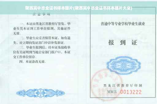 陇西高中毕业证书样本图片(陇西高中毕业证书样本图片大全)