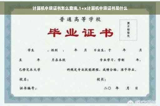 计算机中级证书怎么查询,1+x计算机中级证书是什么