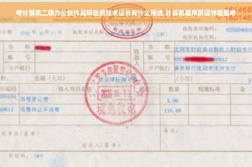 考计算机二级办公软件高级应用技术证书有什么用途,计算机程序员证书哪里考