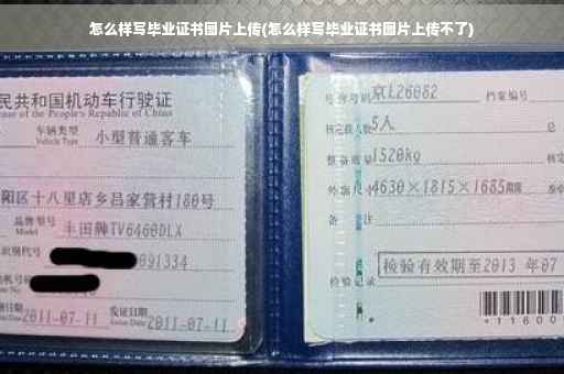 怎么样写毕业证书图片上传(怎么样写毕业证书图片上传不了)