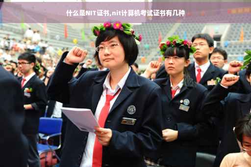 什么是NIT证书,nit计算机考试证书有几种