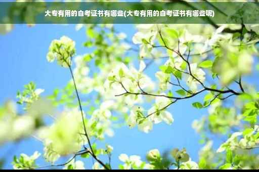 大专有用的自考证书有哪些(大专有用的自考证书有哪些呢)