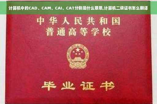 计算机中的CAD、CAM、CAI、CAT分别是什么意思,计算机二级证书怎么翻译